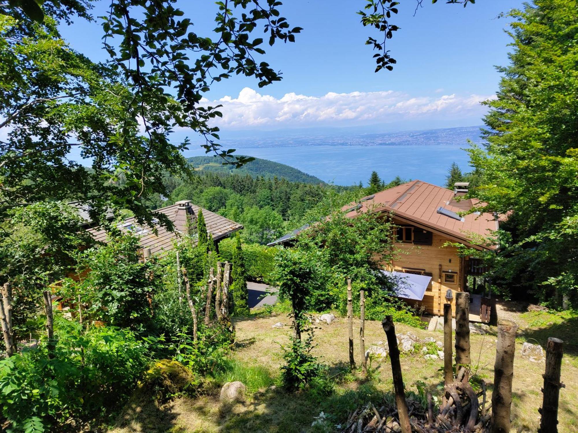 Chalet La Trouvaille Thollon-les-Memises Luaran gambar